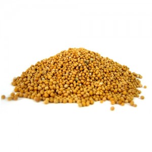 yellow-mustard-seeds-500×500